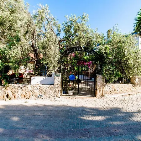 Bed & Breakfast Eucalyptus 2*