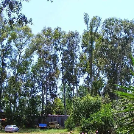 Bed and Breakfast Eucalyptus Πάταρα